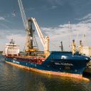 Liebherr hits 1,300 maritime cranes delivery milestone