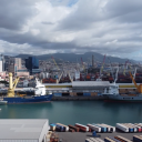 Video: Jumbo-SAL-Alliance heavy-lift vessels meet up in Genoa