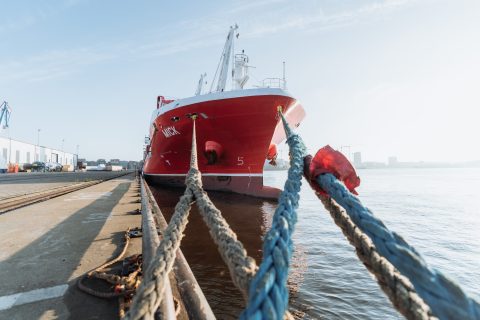 dship Carriers: there is no silver bullet for fleet decarbonisation