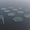 SolarDuck and RWE to build largest Offshore Floating Solar plant